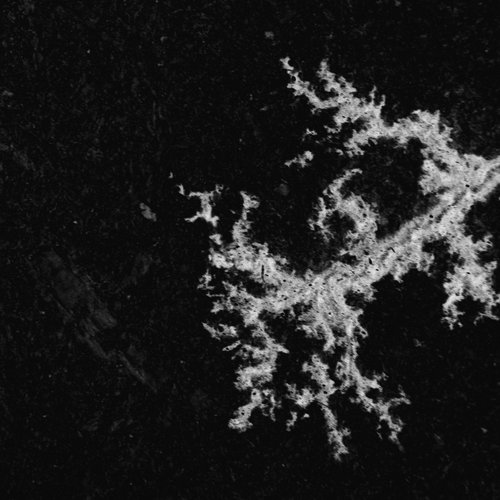 vignette lichtenberg 4